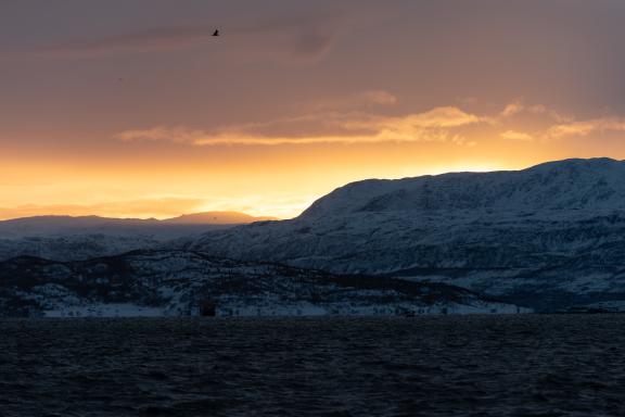Découverte des paysages de fjords arctiques au coucher du soleil dans la région de Troms en Norvège