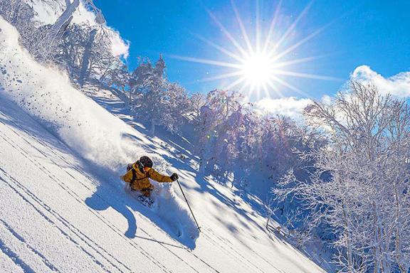 Ski freeride dans la poudreuse d’Hokkaido au nord du Japon