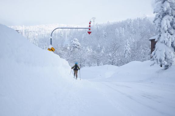 Voyage ski sur une route enneigée entre les montagnes d’Hokkaido