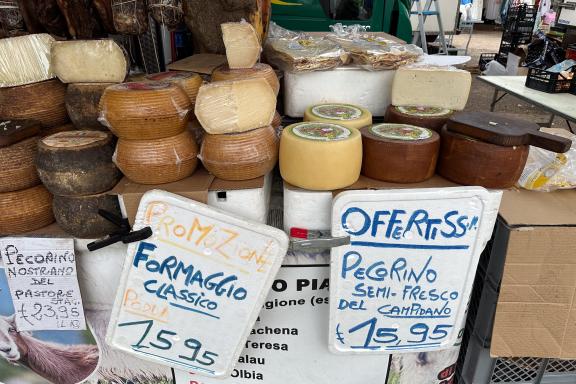 Découverte culturelle et gastronomique des fromages sardes lors d’un voyage nature en Sardaigne